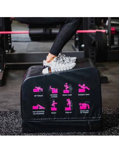 Box Gluteos Fg-HipBench Federal Gym