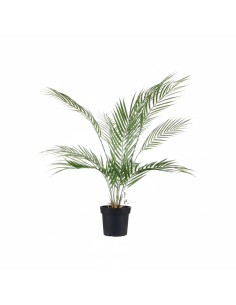 Planta Artificial Palmera Areca 74 Cm 23718 Greenland