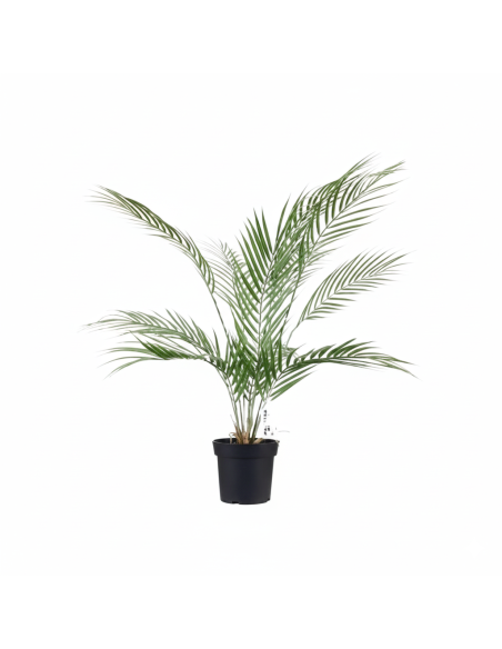 Planta Artificial Palmera Areca 74 Cm 23718 Greenland