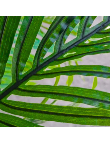 Planta Artificial Palmera Chamado 143 Cm 90318 Greenland