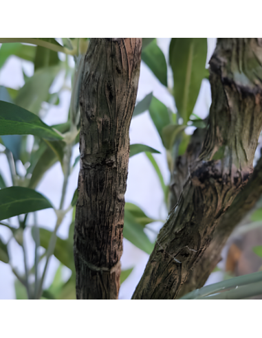 Planta Artificial Olivo 190 Cm 91877 Greenland