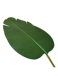 Planta Artificial Palmera Nicolai 159 Cm 90380 Greenland 2