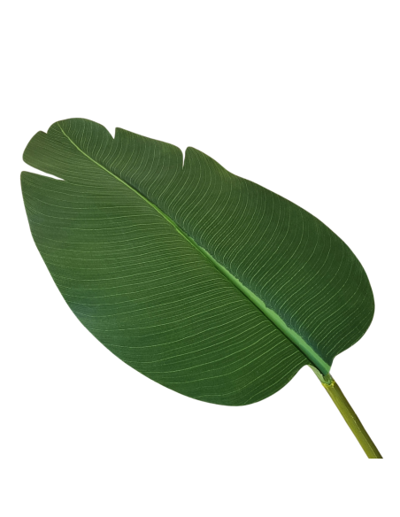 Planta Artificial Palmera Nicolai 159 Cm 90380 Greenland