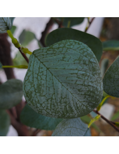 Planta Artificial Eucalipto 184 Cm 92127 Greenland 2