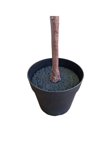 Planta Artificial Eucalipto 184 Cm 92127 Greenland