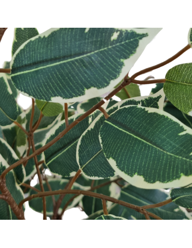 Planta Artificial Ficus Trenzado 130 Cm 90315 Greenland