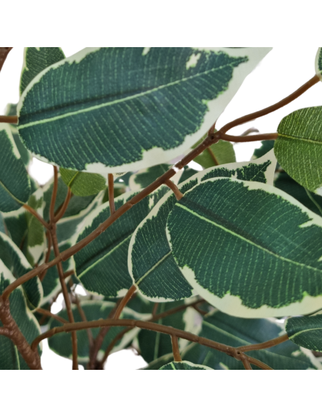 Planta Artificial Ficus Trenzado 130 Cm 90315 Greenland