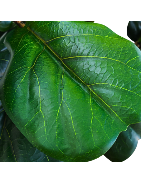 Planta Artificial Ficus 150 Lyrata 90343 Greenland