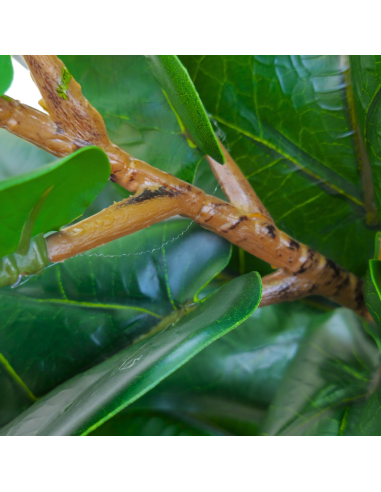 Planta Artificial Ficus 150 Lyrata 90343 Greenland