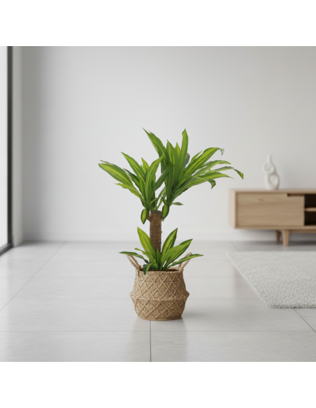 Planta Artificial Palo De Agua 91 Cm 23421 Greenland