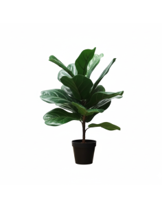 Planta Artificial Ficus Pandurata 55 Cm 22158 Greenland