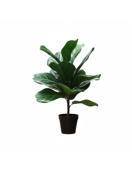 Planta Artificial Ficus Pandurata 55 Cm 22158 Greenland