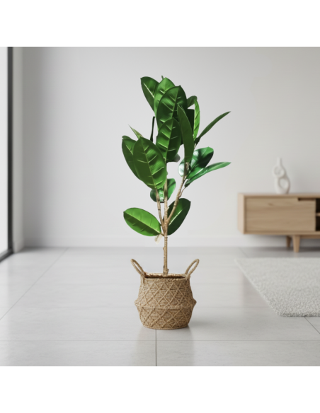 Planta Artificial Ficus Elastica 96 Cm 23949 Greenland