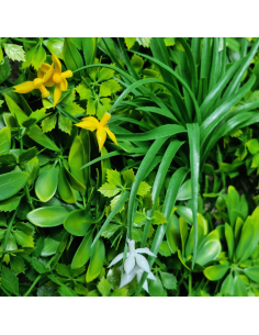 Jardin Vertical Artificial Qx2014 Flor Amar/blan 1m X 1m Greenland 2