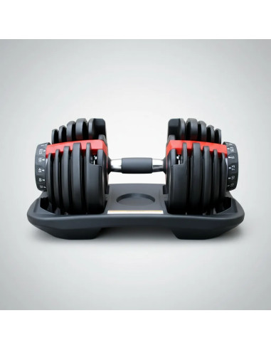 Mancuerna Ajustable 24kg Fgadb-24 Federal Gym