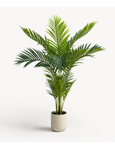 Planta Artificial Palmera Chamado 143 Cm 90318 Greenland