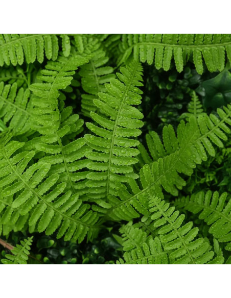 Jardin Vertical 1m X 1m Cmagw-13 Greenland