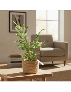 Planta Artificial Bamboo Grueso 42 Cm 24262 Greenland