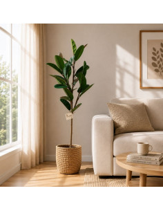 Planta Artificial Ficus Elastica 96 Cm 23949 Greenland