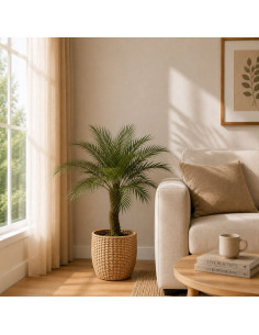 Planta Artificial Palmera Phonix 83 Cm 21207 Greenland