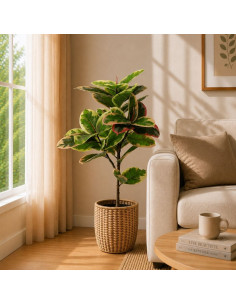 Planta Artificial Gomero Variegado 90 Cm 22137 Greenland