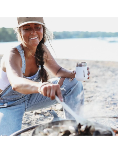 Vaso Everyday 295 Ml Polar Stanley